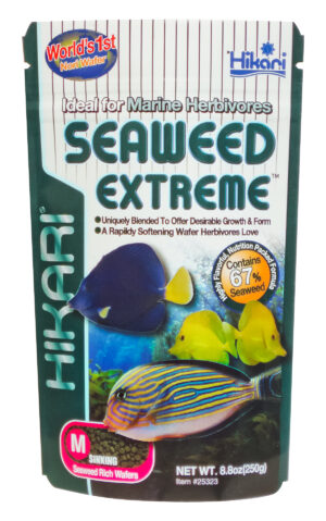 Hikari Marine Seaweed Extreme medium wafer