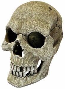 Repto Deco Human Skull schedel