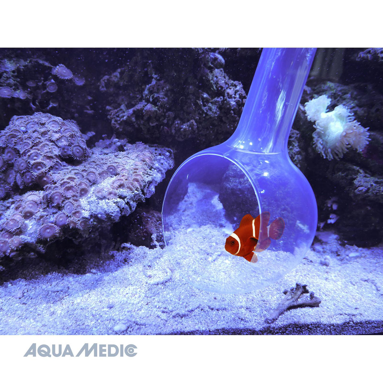 Aqua Medic Fish trap