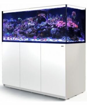 Red Sea Reefer XXL - 625