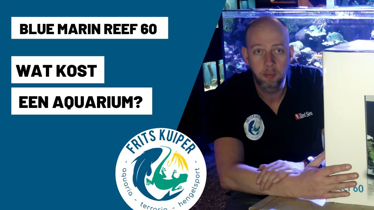 wat kost een aquarium