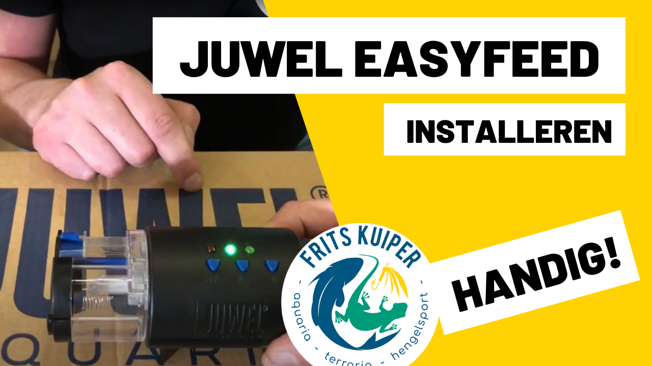 juwel easyfeed