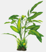 Superfish Art plant Cryptocoryne XL