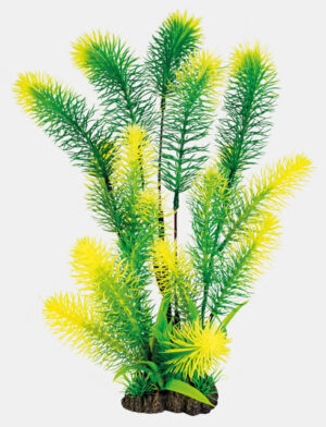 superfish-art-plant-myriophyllum-xl