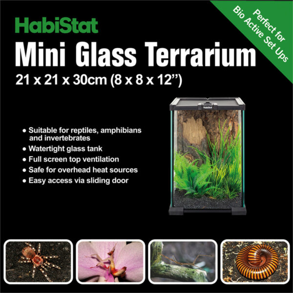 Habistat glazen terrarium 20x20x30 cm 3