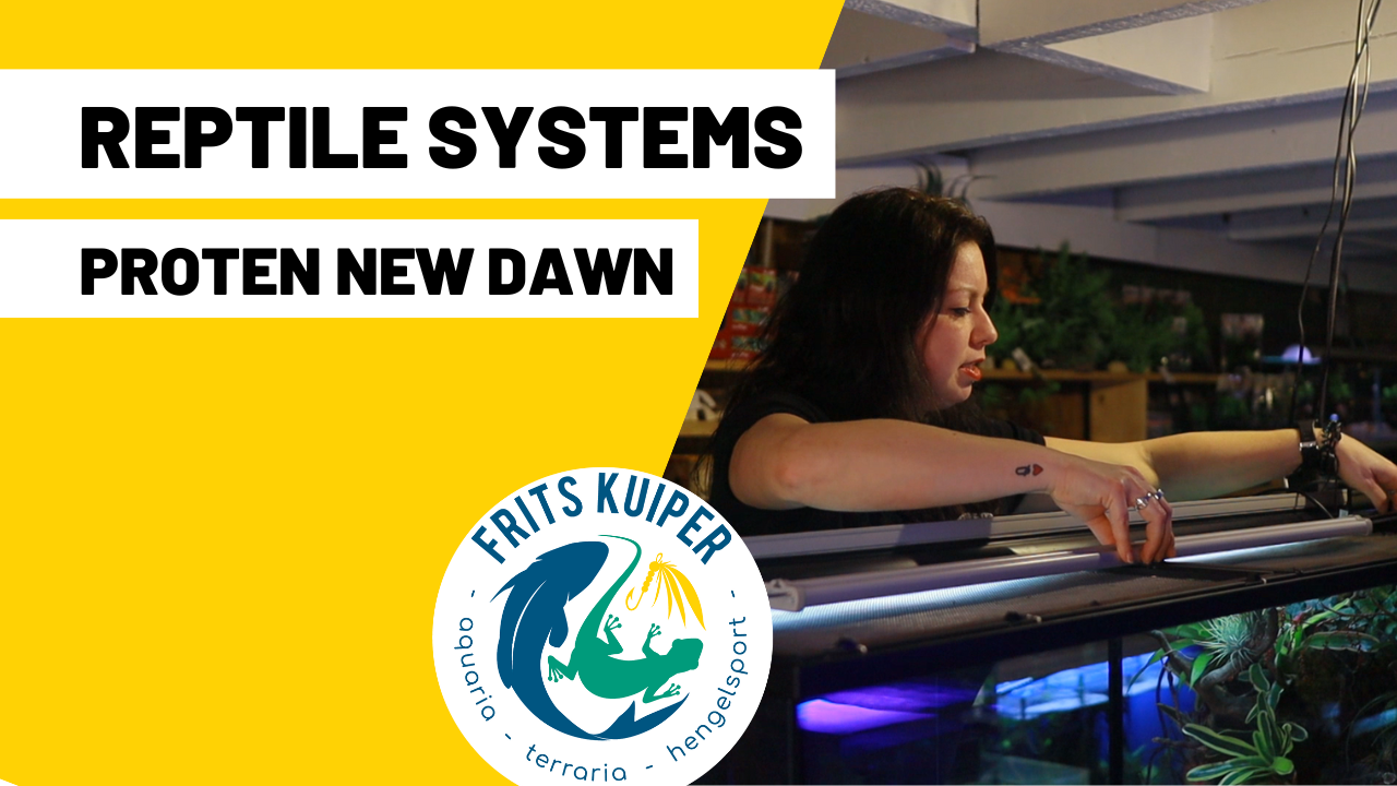 Reptile systems new dawn Youtube