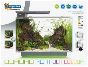 Superfish Quadro 70 multicolor wit